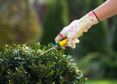 PPE used during Harlesden landscaping work