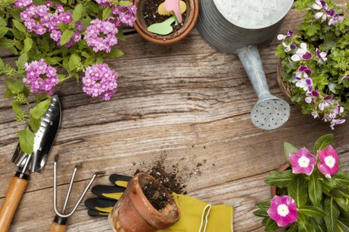 Illustration of cookie usage on a landscaping website