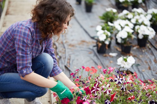 A modern low-maintenance garden makeover for a Harlesden property