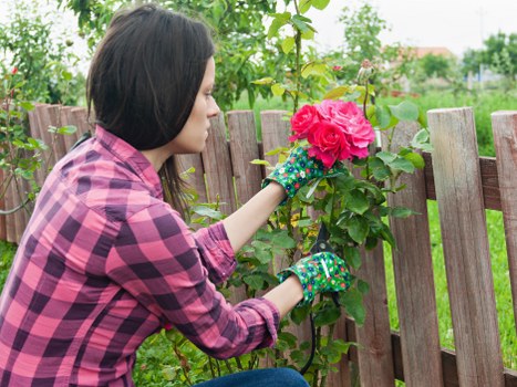 Professional landscaping safety and insurance standards in Harlesden