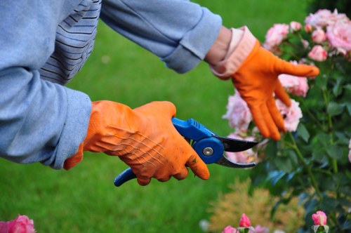 Professional landscaping work in Harlesden with careful planning