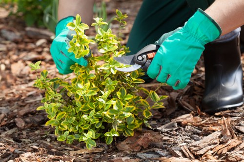Customer making a secure Landscaping Harlesden payment on a protected checkout page