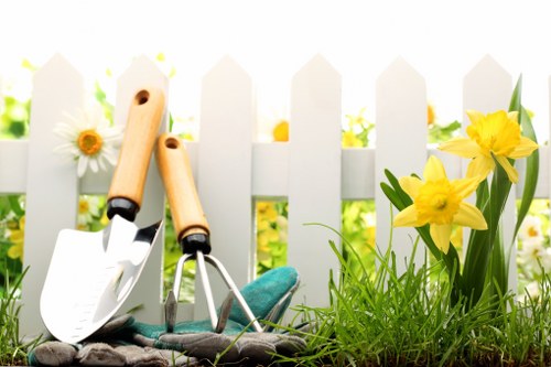 Modern outdoor space design with low-maintenance planting and patio areas