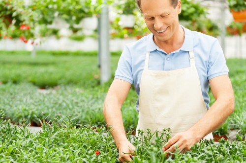 Transparent landscaping pricing and quotation process in Harlesden