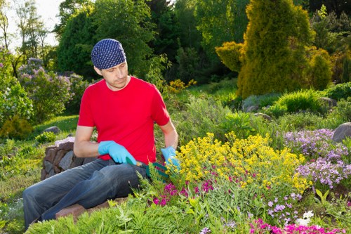 A practical landscaped garden suitable for local properties in Harlesden