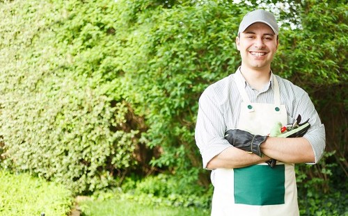 Supplier due diligence and monitoring in the landscaping supply chain