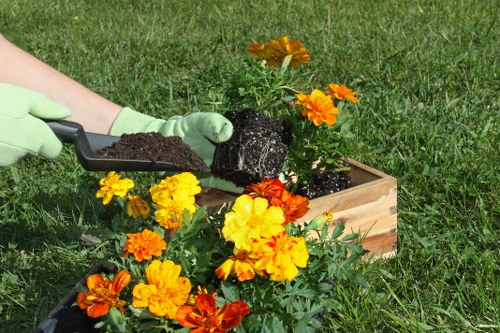 Urban garden soft landscaping near Harlesden with shrubs and lawn preparation