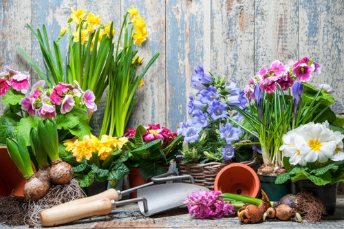 Free quote assessment for landscaping work near a busy Harlesden street